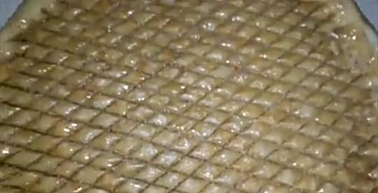 60333311_294982861194881_2552301736035352576_n