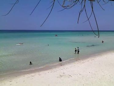 60348697_600570443754170_4805074334043340800_n