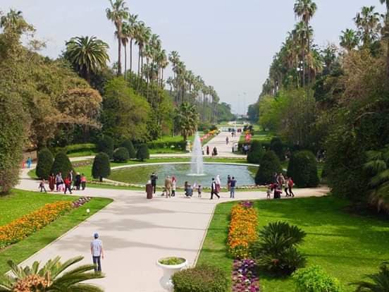 60352618_449781935566182_6395482976947273728_n