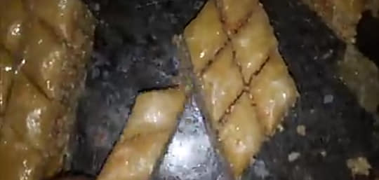 60354136_583663758797444_5325573096998961152_n