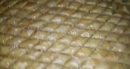 60455440_2339739206352307_8470734354589417472_n