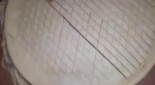 60553177_352188672103983_2679162859367170048_n