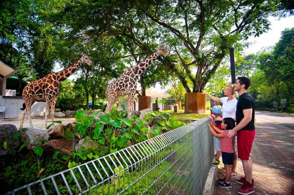 65079911_294316398017423_225114354268241920_n