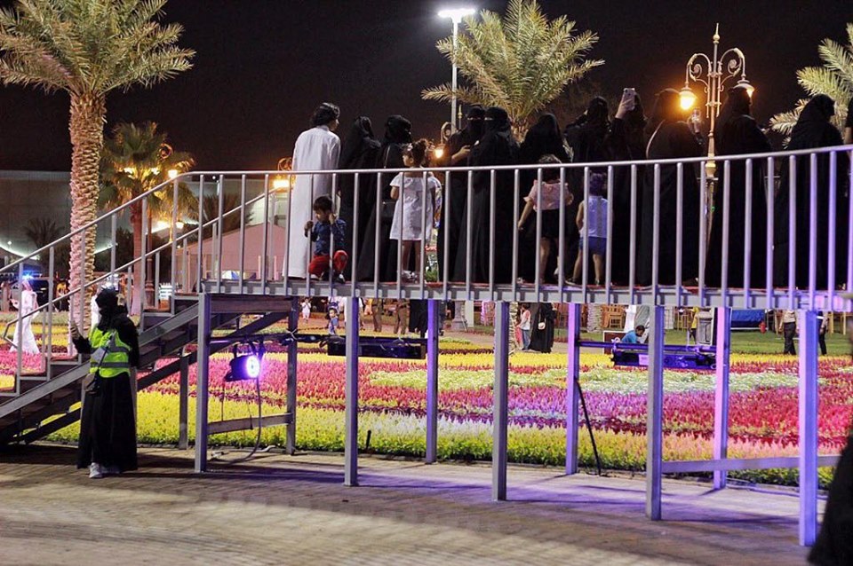 67066528_424979641430507_7788298256374562816_n