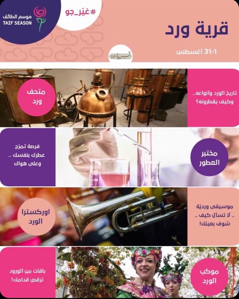 67295562_2608729026028066_7040444974403420160_n