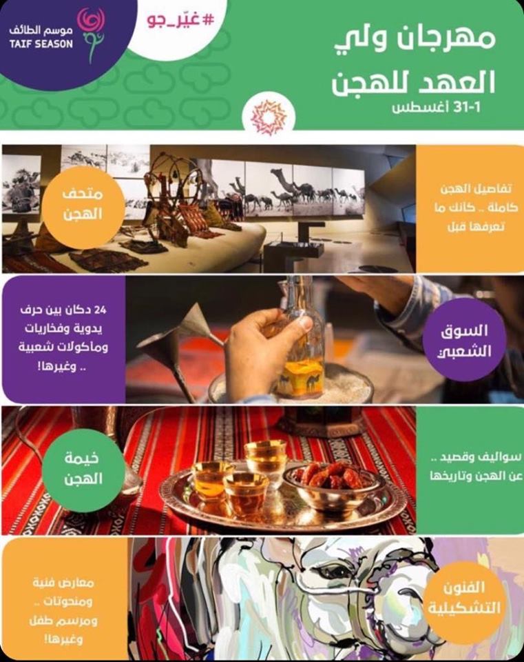 67419705_368250720504450_4480093632136740864_n