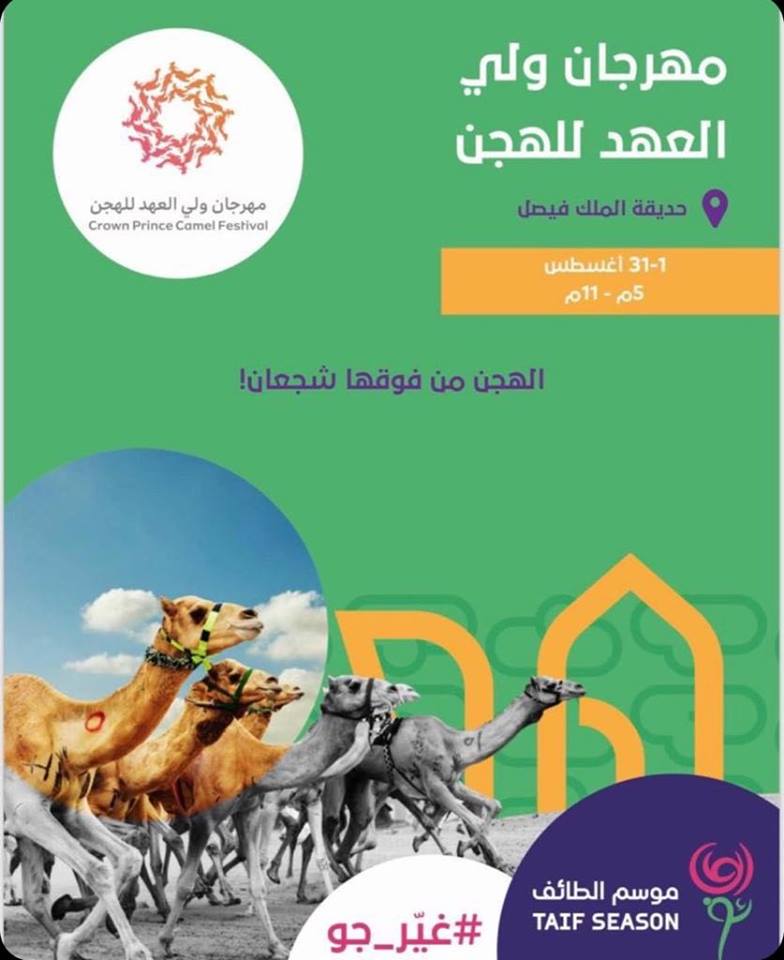 67572524_434004880524683_4242572496034856960_n