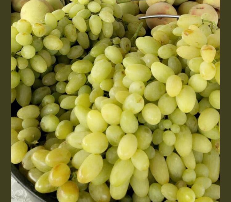 67939235_483040322492717_3436154474534535168_n