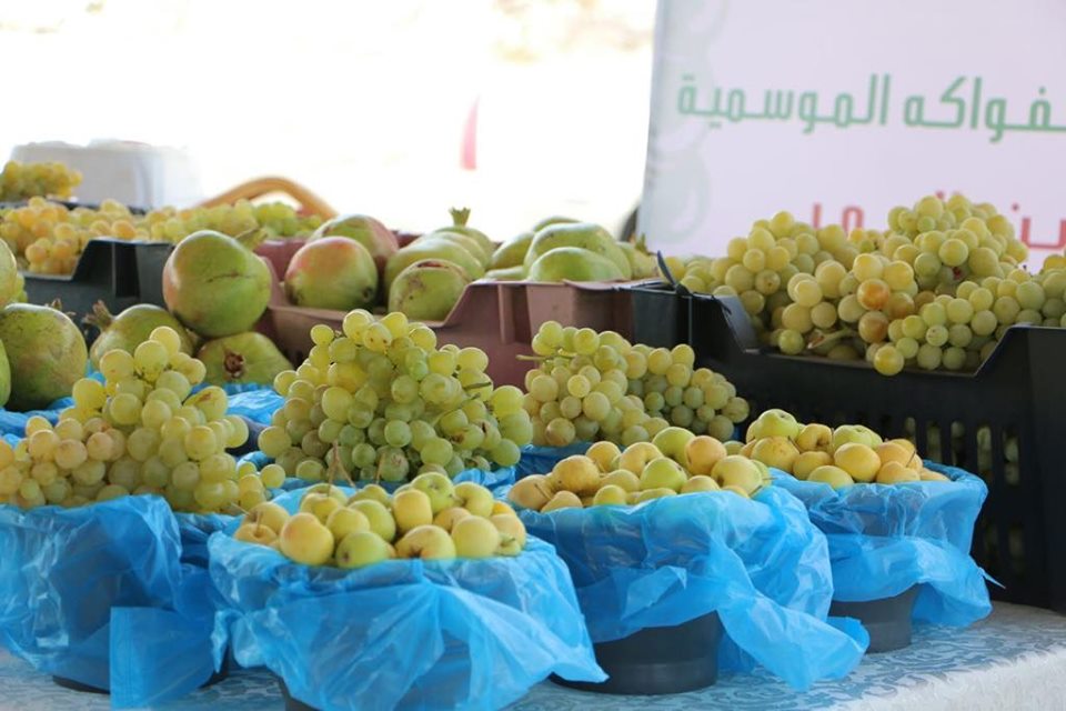 68525173_713979712378795_9200649069993656320_n