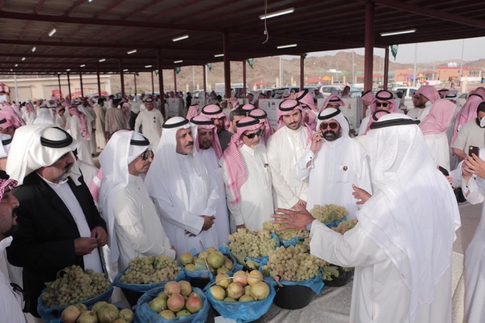 68586602_2368926200045674_2462771167065276416_n