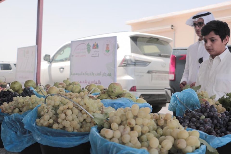 69184399_489367095183898_8129584256159580160_n