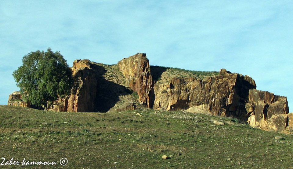 69551213_664901624030808_3764161844189593600_n