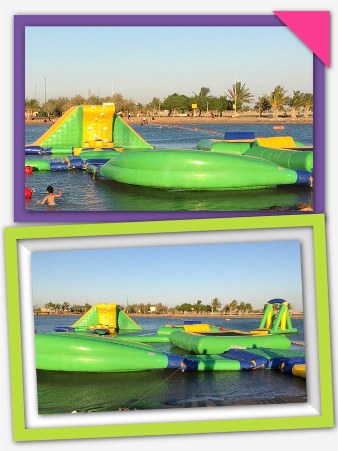 75220754_2626339460787562_3837871132325707776_n