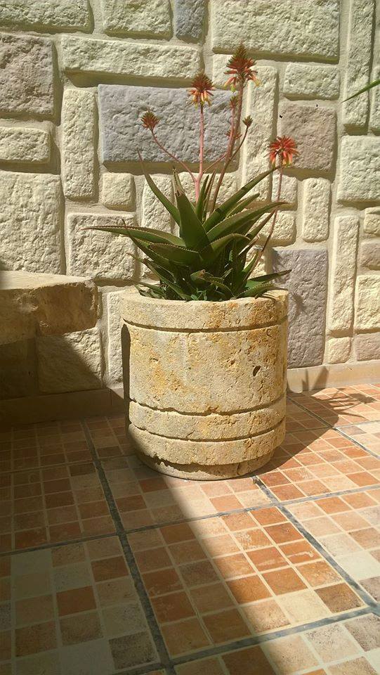 81868798_499859070883085_4702467080010596352_n