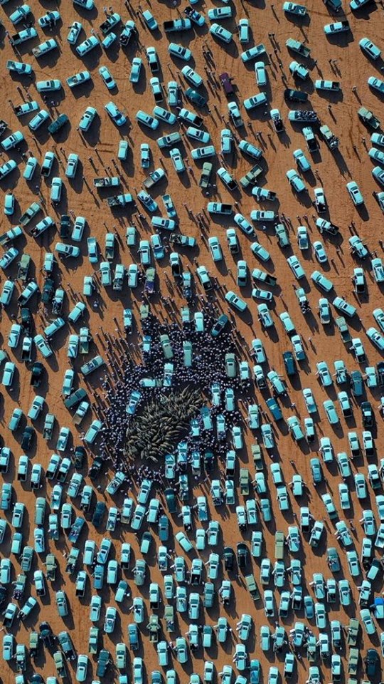 82250681_799468550520222_6716867498441965568_n