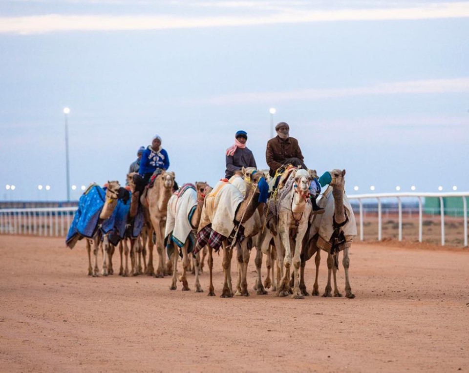 82434551_458373031772641_757976408218664960_n