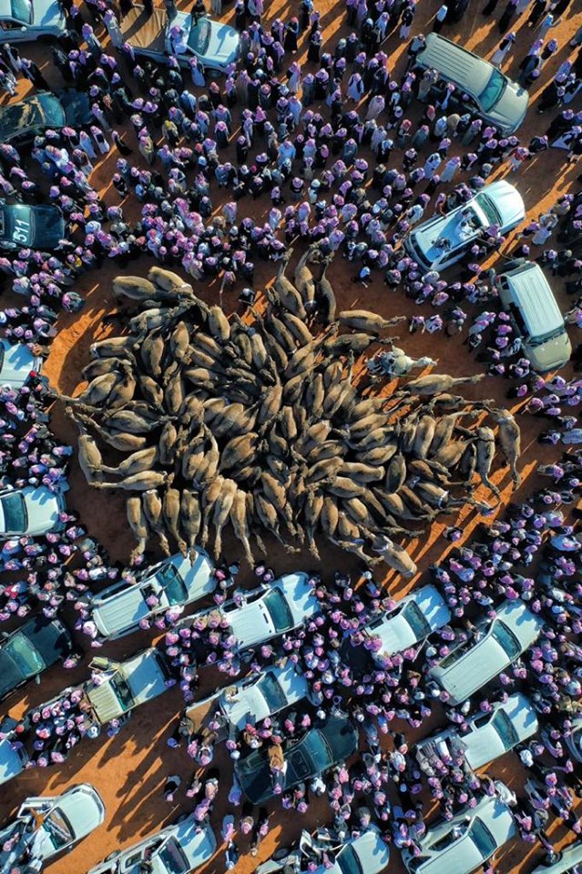 83077048_471260703559242_2407500263725203456_n