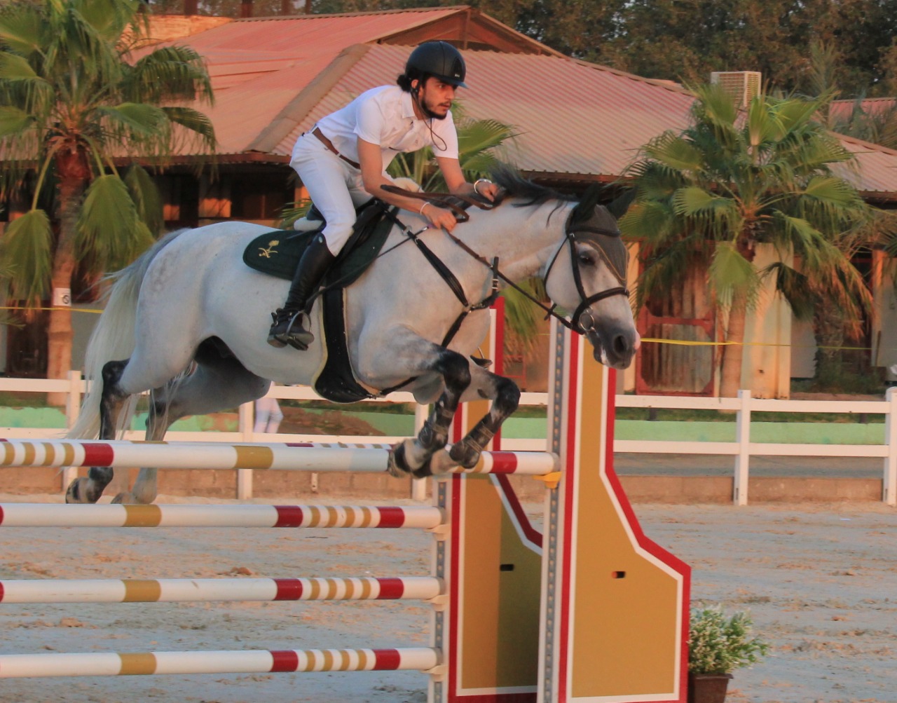 b8acdbeb-0d92-42d6-adb3-7de983f7641d