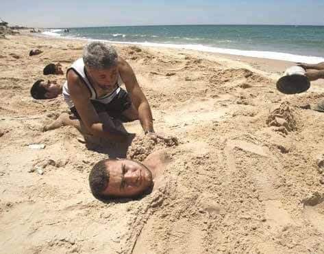 86656d75-4078-4bee-ab9f-49fcc85208f7