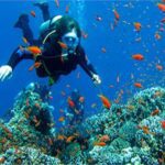 أجمل أماكن الغوص في البحر الأحمر