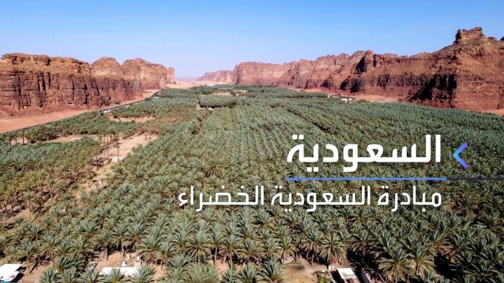 السعودية