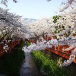 الخريف في كوريا