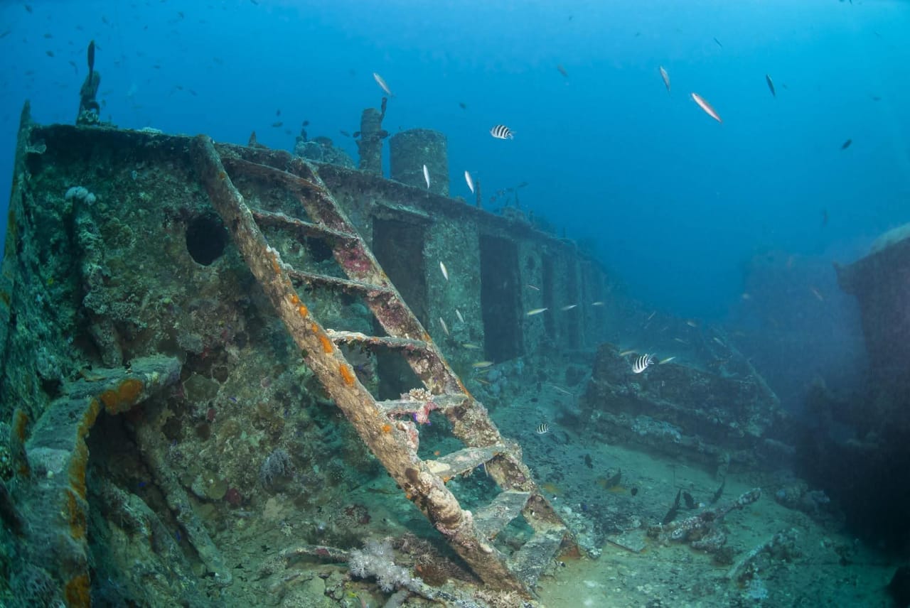 حطام ثيستلغورم Thistlegorm Wreck أسطورة الغوص في البحر الأحمر