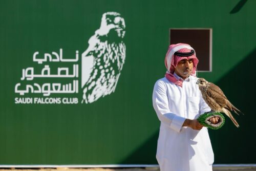 308 صقور تتنافس بأشواط الملاك في ثالث أيام كأس نادي الصقور السعودي 2025