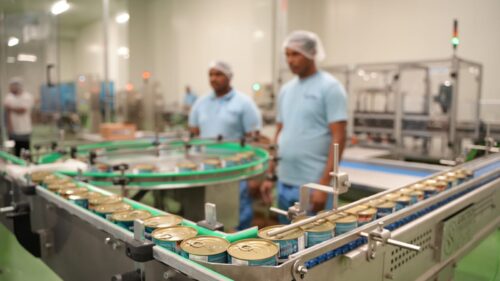 مشروع إنتاج التونة والسردين في الدقم نموذج لإسهام جهاز الاستثمار العُماني في تعزيز القيمة المضافة في قطاع الثروة السمكية