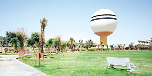 بدعمٍ من سمو أمير منطقة القصيم – حفظه الله – تواصل منطقة القصيم ترسيخ مكانتها كوجهة شتوية نابضة بالحياة، مستفيدةً من تنوّعها الجغرافي وإرثها الثقافي الغني.