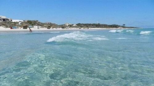 الصندوق العالمي للطبيعة بشمال إفريقيا: فتح باب التسجيل في النسخة الجديدة من برنامج “تبنّى شاطئاً”