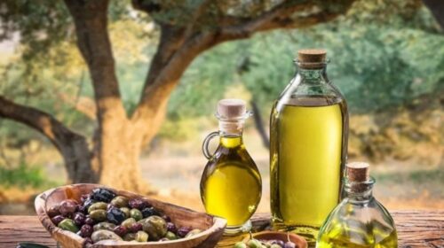 صادرات زيت الزيتون التونسي تتجاوز 1620 مليون دينار