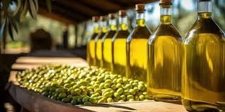 زيت الزيتون التونسي: محرك اقتصادي ووجهة سياحية عالمية تحت مجهر عمادة المهندسين