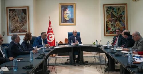 وزير السياحة التونسي سفيان تقية يضبط “خارطة طريق” استباقية لتأمين جاهزية القطاع السياحي
