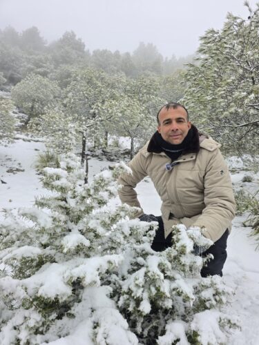 مكثر التونسية.. لوحة ثلجية ساحرة تعيد رسم تفاصيل الربيع برداء البياض