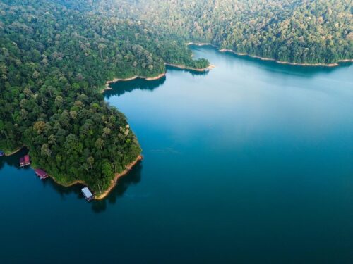 ترينقاانو… عندما يتحول الجمال إلى قصه