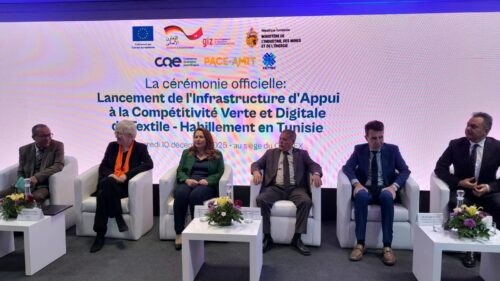 تونس.. حكاية “غرزة” تجمع بين عراقة القرطاجيين وحداثة الاستدامة