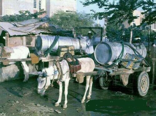 السقا زالبازان والتحلية تختزن الكثير من الذكريات في زوايا القلب