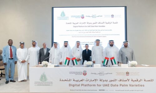 منصة رقمية ذكية توثق أصناف التمور وتعزز الابتكار الزراعي في الإمارات