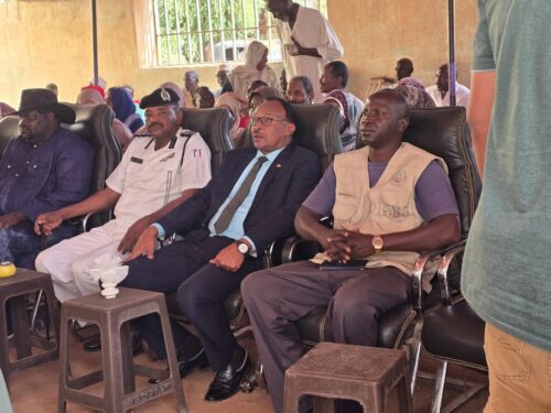 وزير الشباب والرياضة يشارك في كرنفال أصحاب الهمم الثقافي بالخرطوم