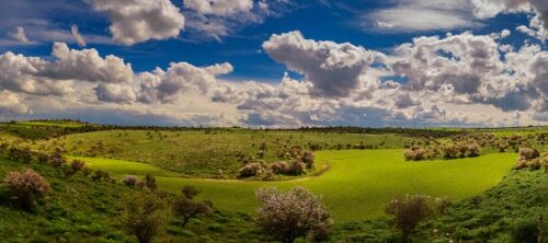 مورجيا وسمّامة: تحالف “الأرض الوعرة” الذي أعاد صياغة مفهوم الصمود المتوسطي