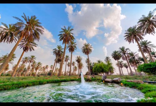 الأحساء… حين يلتقي جمال المكان بطيبة الإنسان