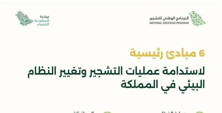 6 مبادئ رئيسية لاستدامة عمليات التشجير وتغيير النظام البيئي في المملكة