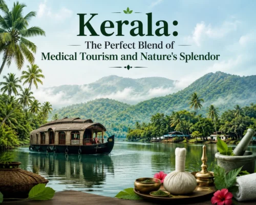 Kerala: The Perfect Blend of Medical Tourism and Nature’s Splendor