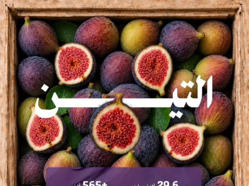 التين يحلّي موسم الصيف ويُنعش الأسواق بإنتاج نحو 30 ألف طن من أجود الأصناف المحلية