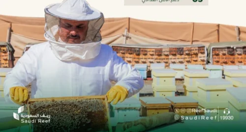 “ريف السعودية” يُعلن اكتمال إنشاء 11 مشروعًا تنمويًا لدعم وتطوير قطاع العسل وتربية النحل بأكثر من 70 مليون ريال