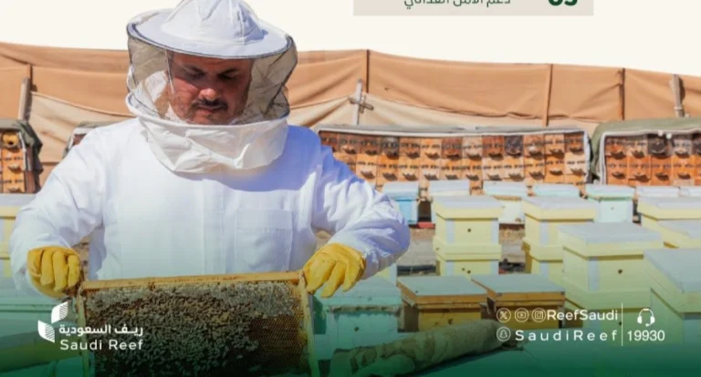 “ريف السعودية” يُعلن اكتمال إنشاء 11 مشروعًا تنمويًا لدعم وتطوير قطاع العسل وتربية النحل بأكثر من 70 مليون ريال