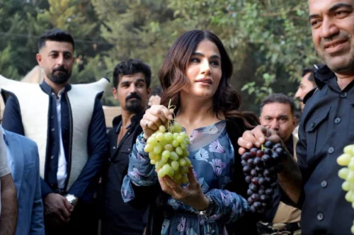 محافظة حلبجة السياحية تفتتح مهرجانها السنوي الأول للمنتجات الزراعية المحلية