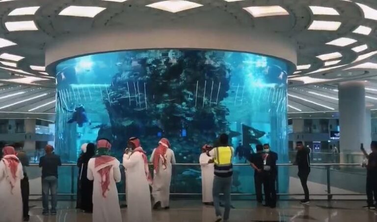 حوض أسماك مطار الملك عبدالعزيز الدولي.. نافذة بحرية تستحضر ثراء البحر الأحمر