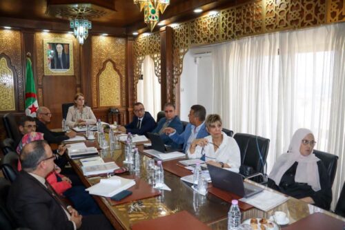 وزيرة السياحة تترأس اجتماعاً لعرض التصميم الأولي للمدرسة الوطنية العليا للسياحة بتيبازة